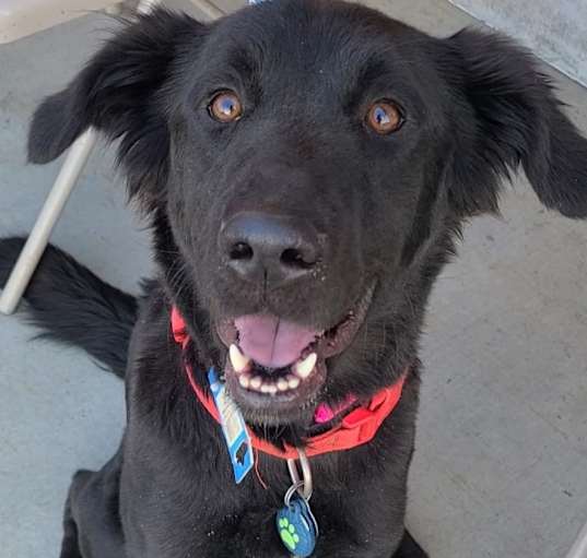 Photo of Maggie Lou