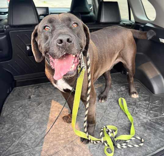 Photo of Brody