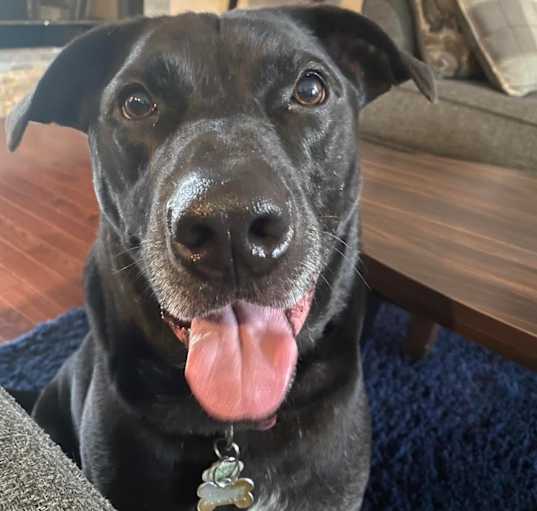 Photo of Freddie aka Cash