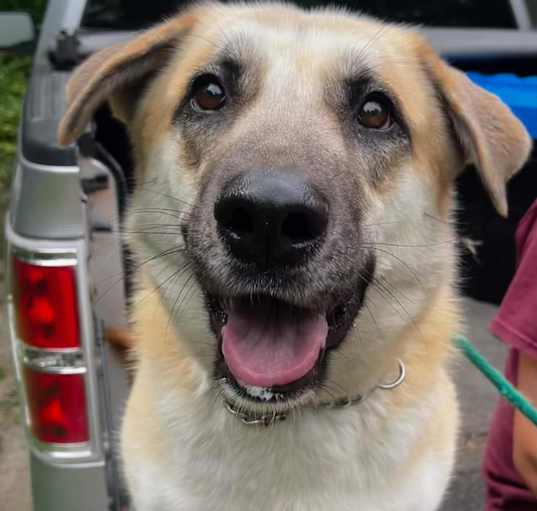 Photo of Coopie