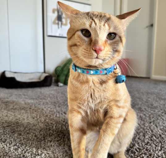 Photo of Hewy