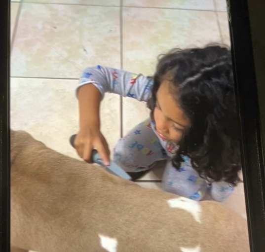 Photo of Lucky