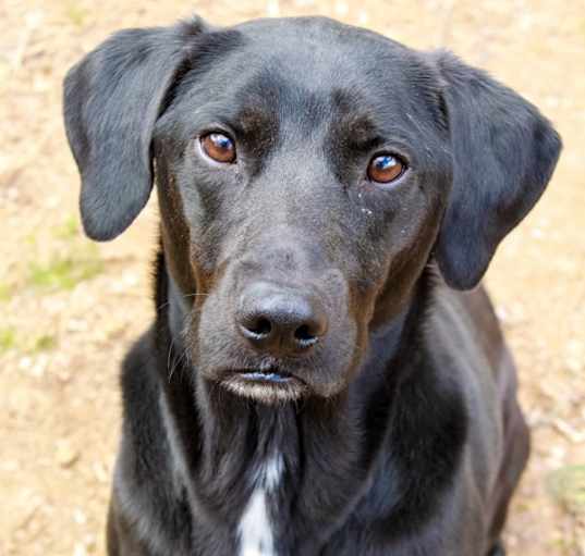 Photo of Kyper