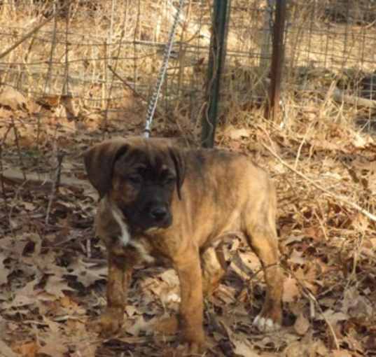 Photo of Tracker