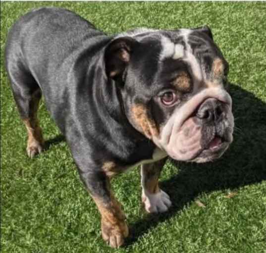 Photo of Ceelo