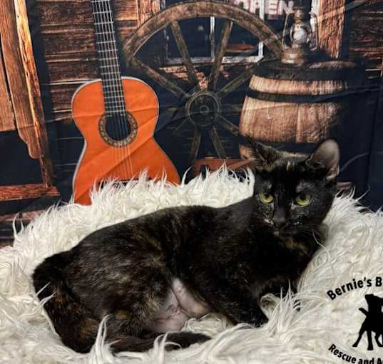 Photo of Mabel