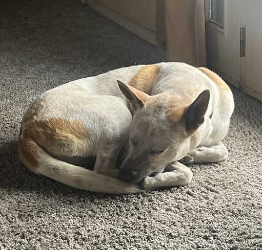 Photo of Molly
