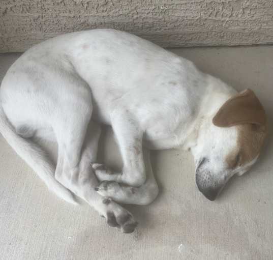 Photo of No Name