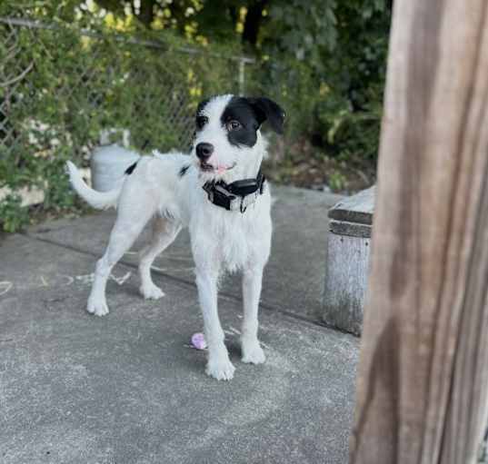 Photo of Queso