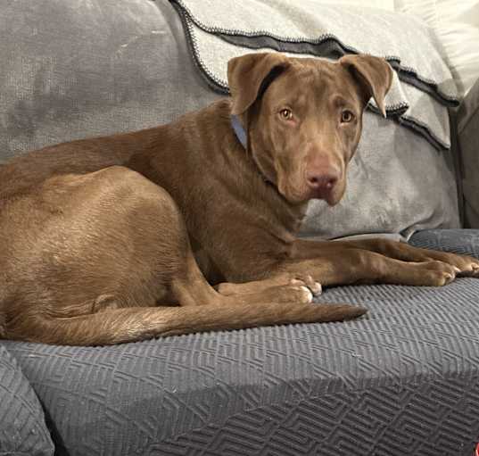 Photo of Max