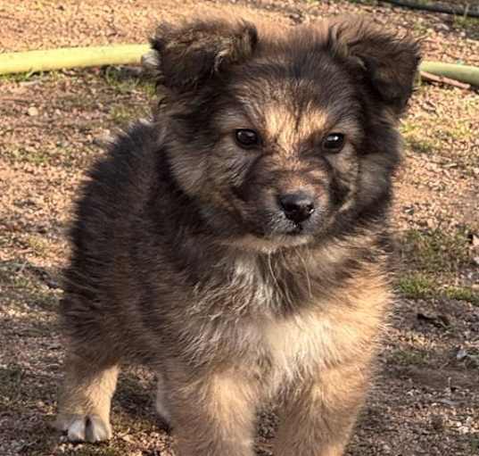 Photo of Atlas