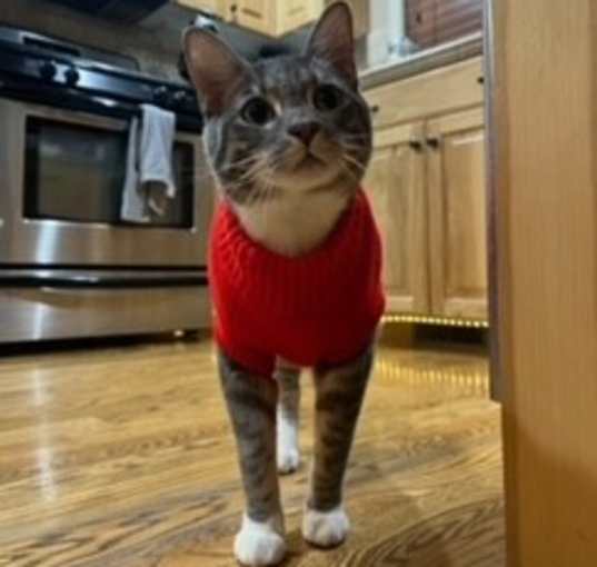 Photo of Oscar