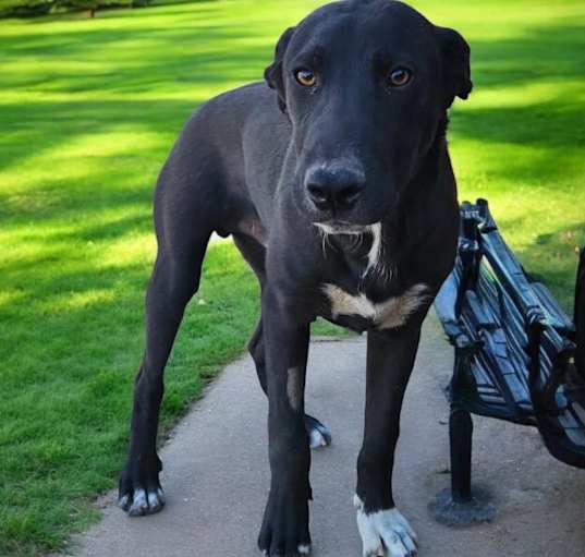 Photo of GUNTHER