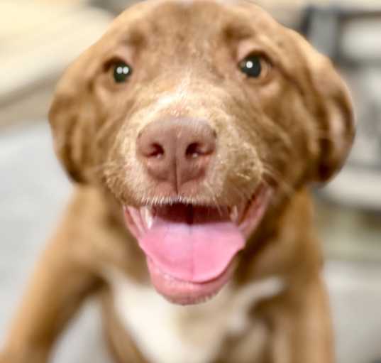 Photo of Delilah