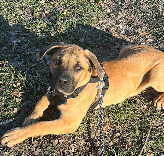 Photo of Hercules