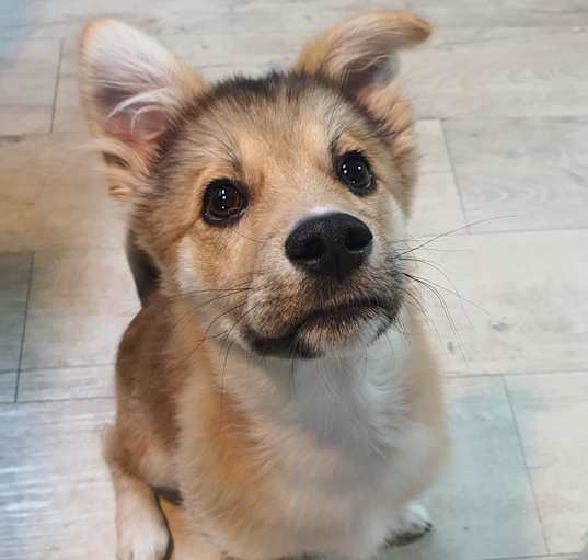 Photo of Cino