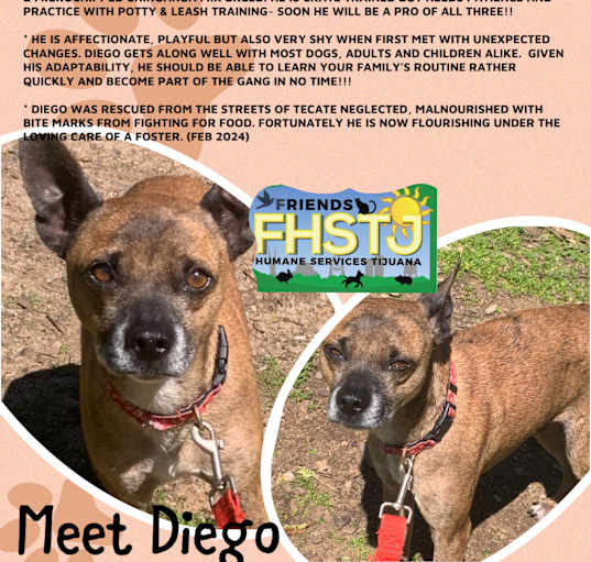 Photo of Diego