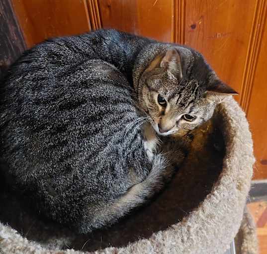 Photo of Princess