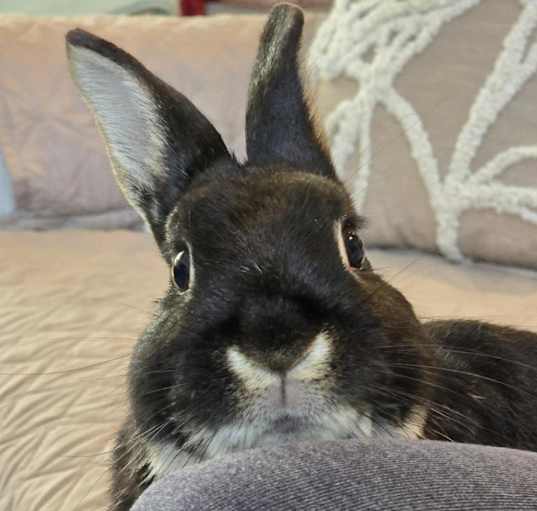 Photo of Kenji