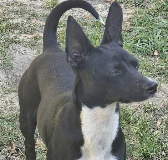 Photo of Lexy