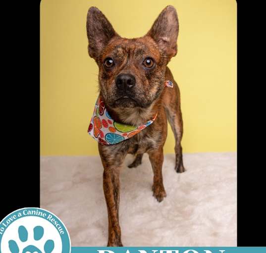 Photo of Paxton 032225