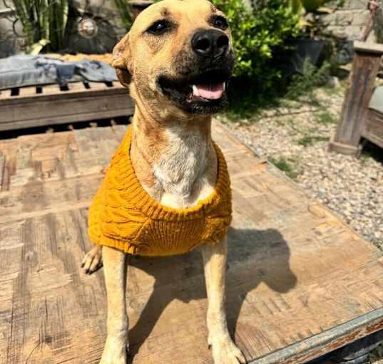 Photo of Ellie