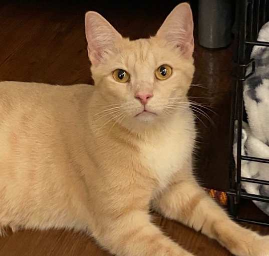 Photo of Martin