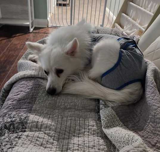 Photo of Bentley