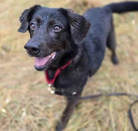 Photo of Benny