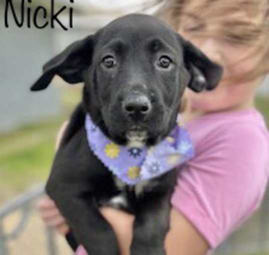 Photo of Nicki