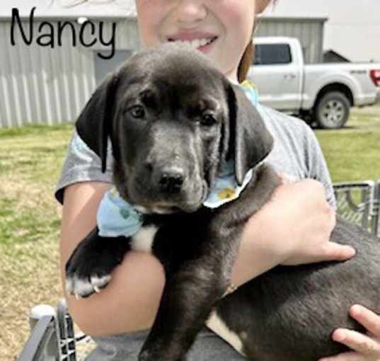 Photo of Nancy