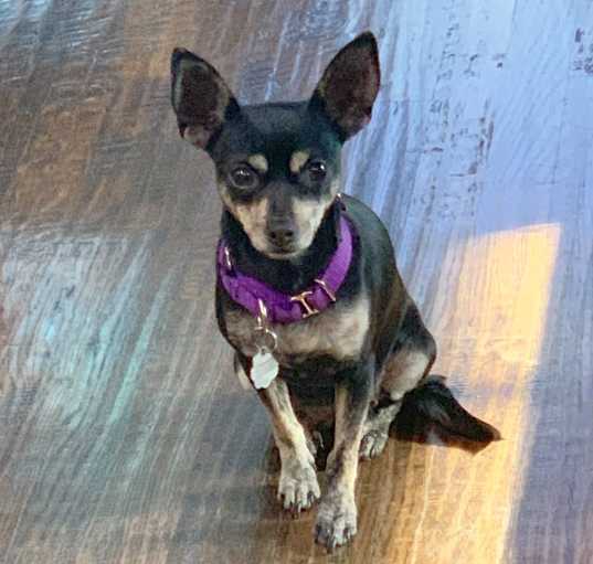 Photo of Angel
