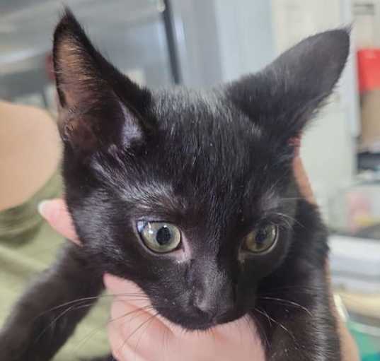 Photo of zuko