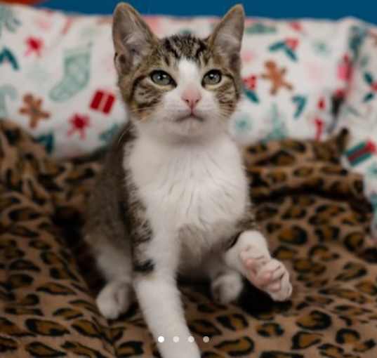 Photo of Cat McGraw
