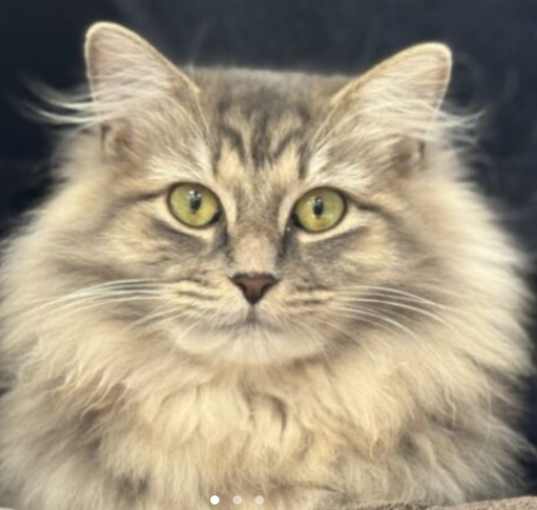 Photo of Ya'Gurl Sally
