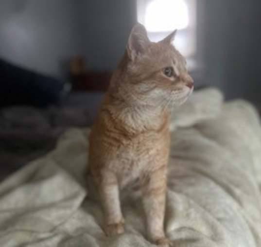 Photo of Augie