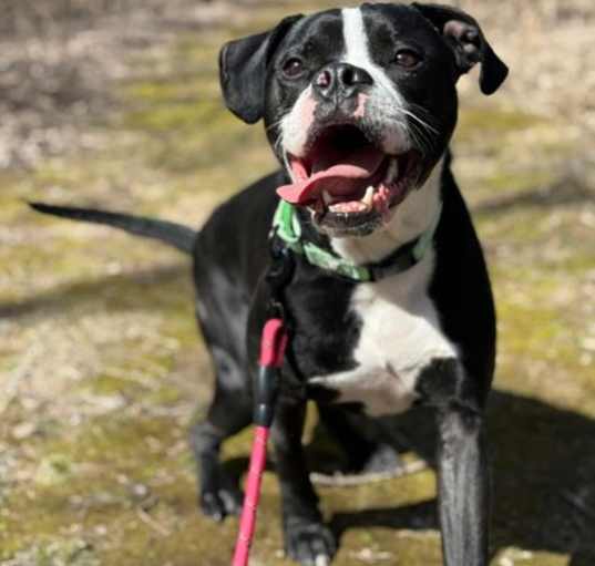 Photo of Ezekiel