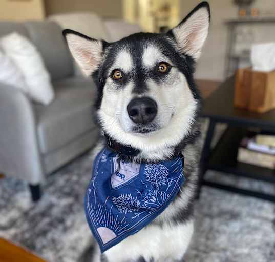 Photo of Dakota