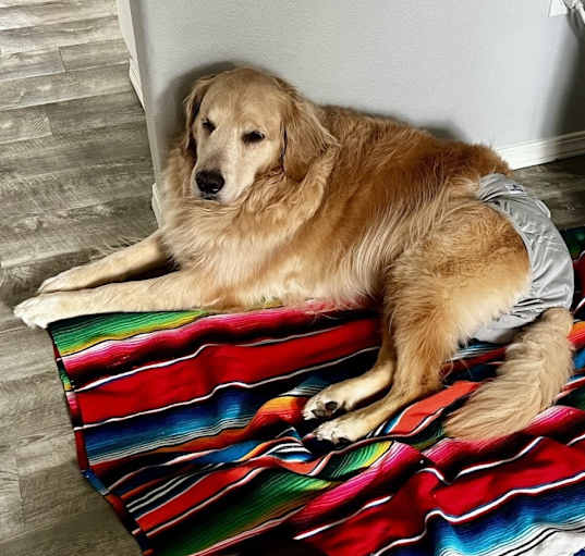 Photo of Gus