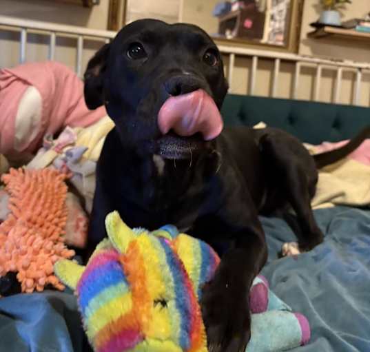 Photo of Peggy