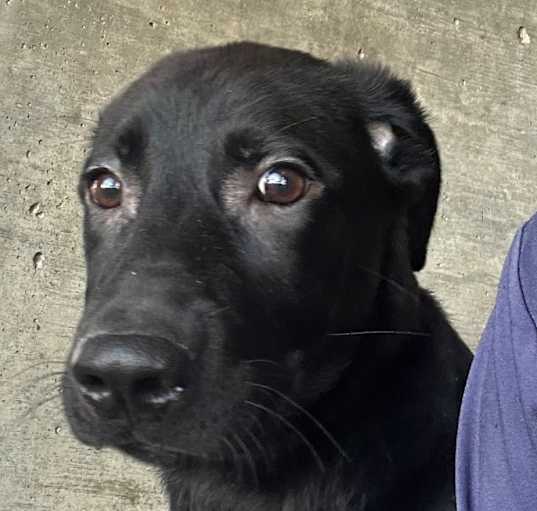 Photo of Stark