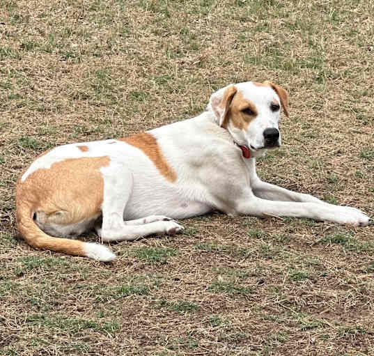 Photo of Phoenix
