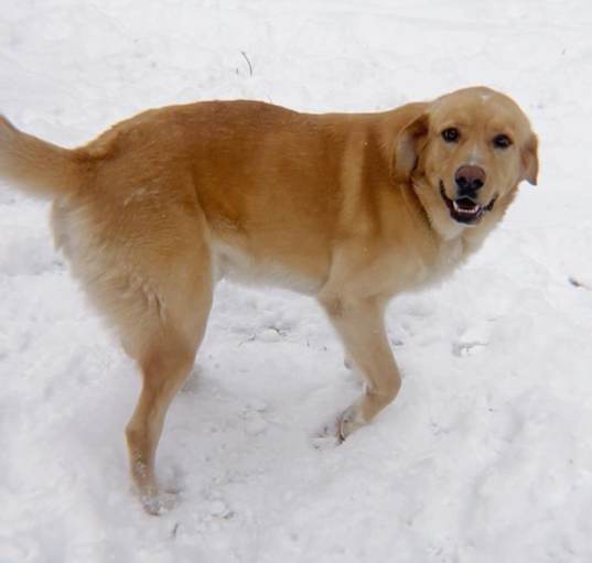 Photo of Camper