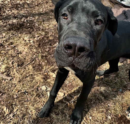 Photo of Jack