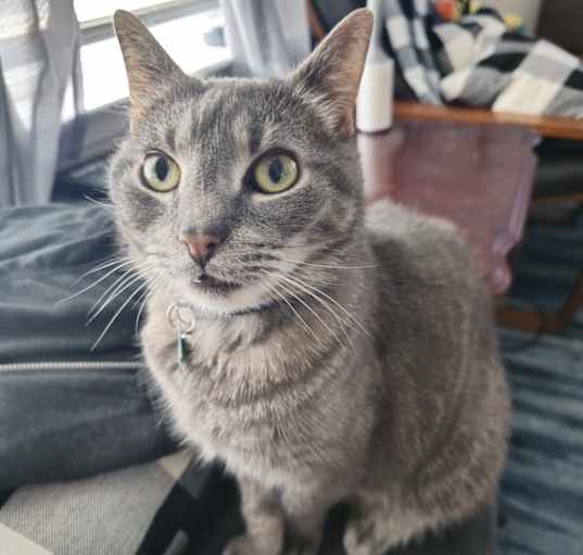 Photo of Caleb