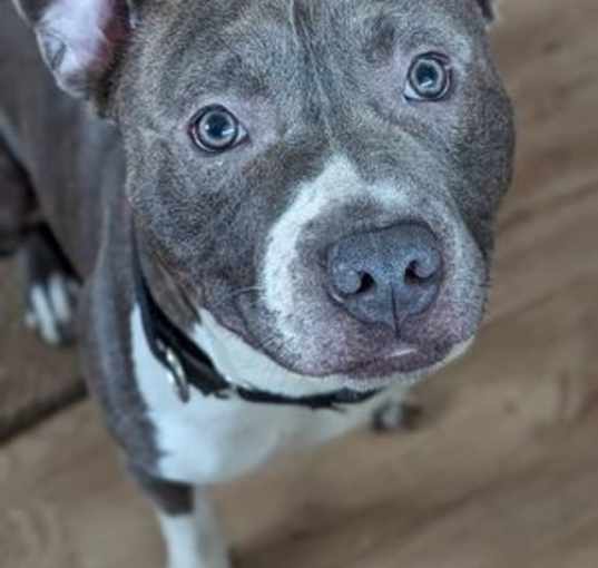 Photo of CHAPO
