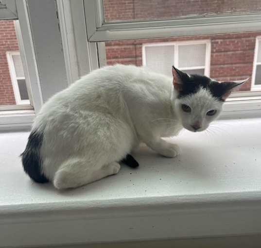 Photo of Elsa