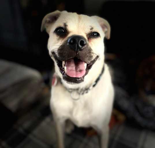 Photo of Delta