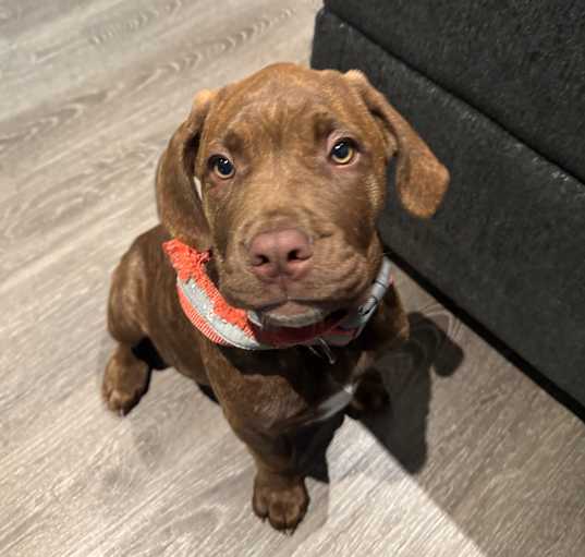 Photo of Hennessy
