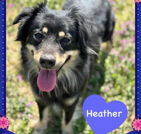 Photo of Heather
